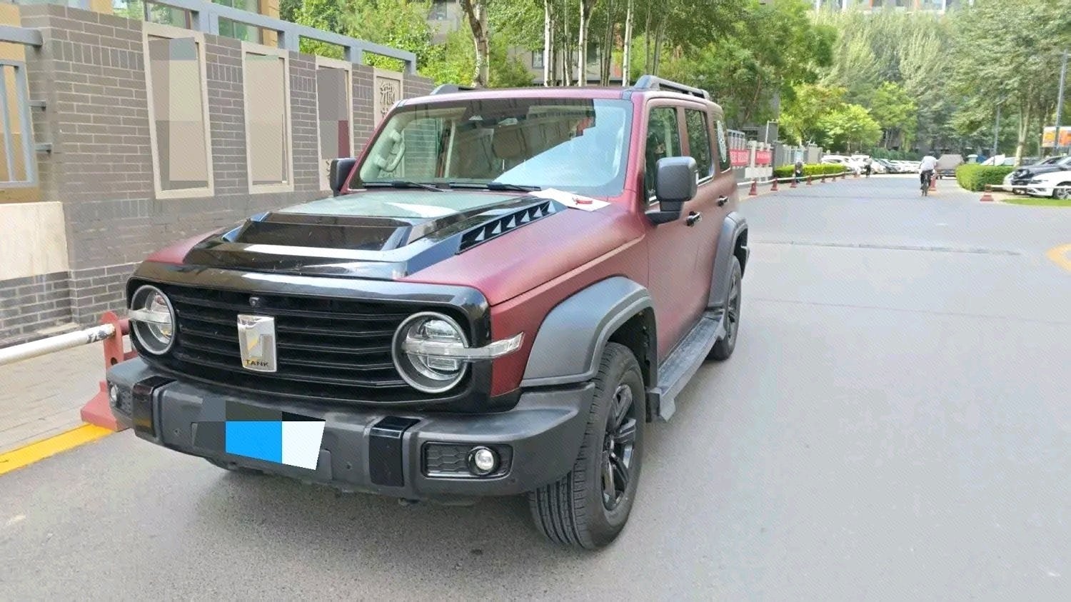 TANK 2021 Tank 300 2.0T Off-Road Edition Conqueror