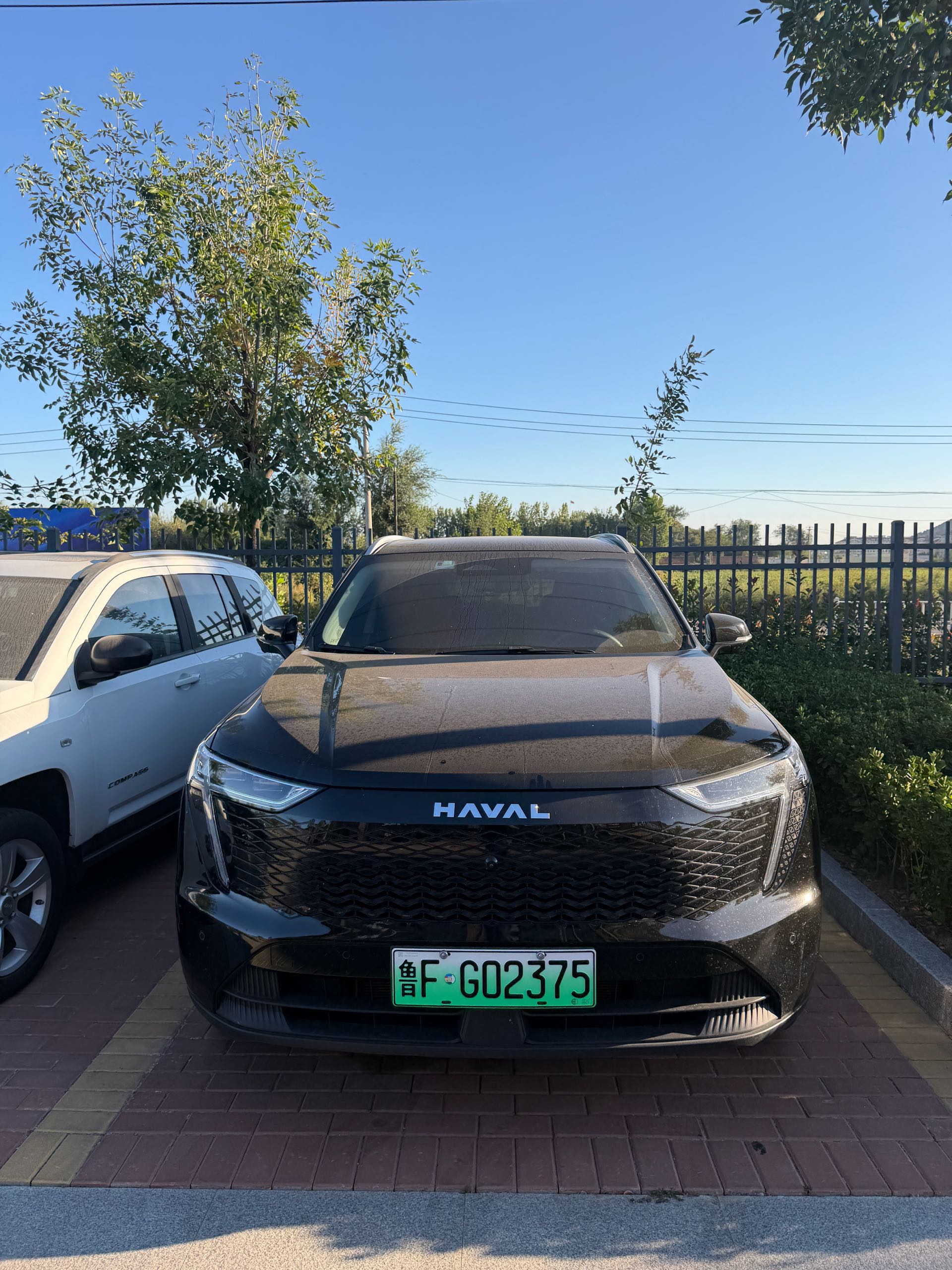 Фото Haval Brave Dragon 2023 Haval H6 MAX 1.5 Hi4 105 Smart Flagship Edition — 2