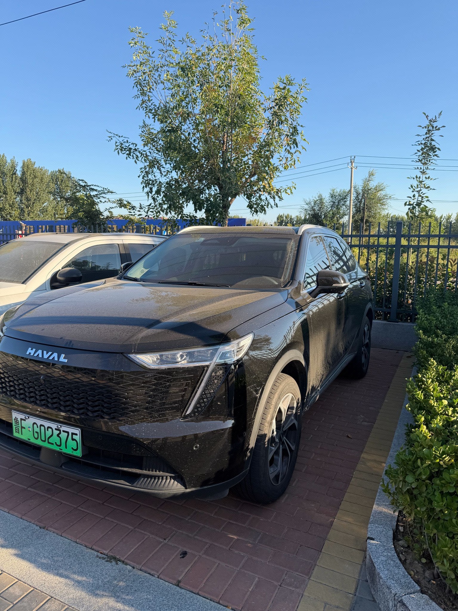 Haval Brave Dragon 2023 Haval H6 MAX 1.5 Hi4 105 Smart Flagship Edition