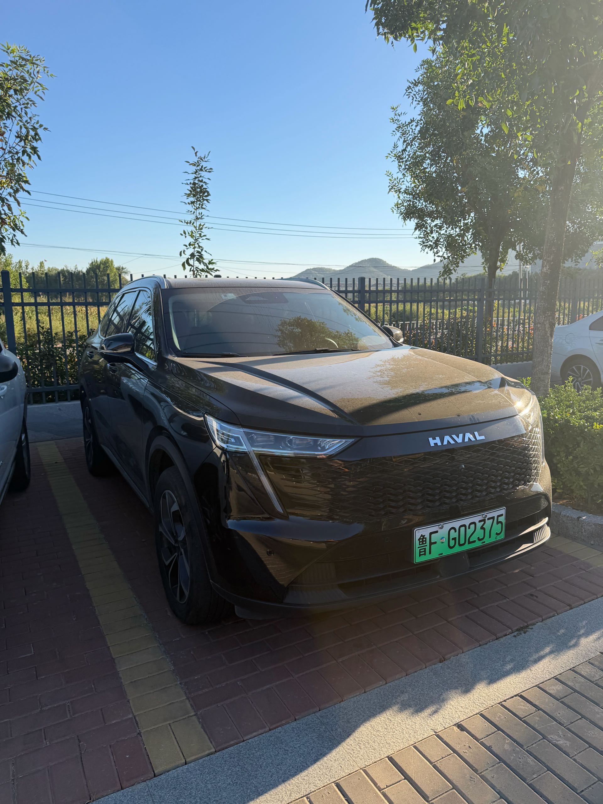 Фото Haval Brave Dragon 2023 Haval H6 MAX 1.5 Hi4 105 Smart Flagship Edition — 3