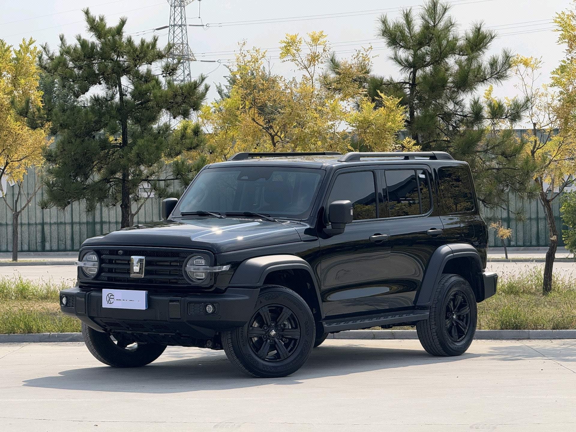 TANK 2024 Tank 300 2.0T Challenger