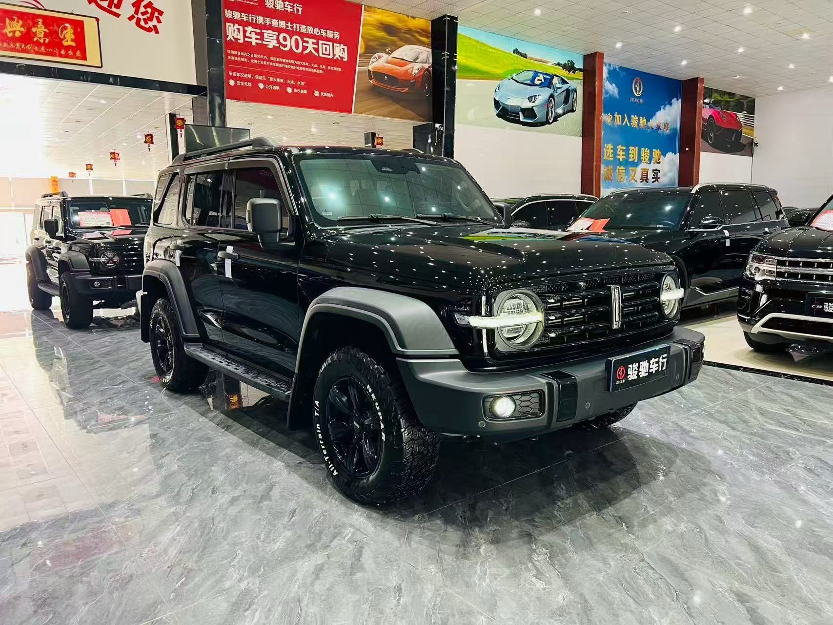 TANK Tank 300 2.0T Off-Road Edition Conqueror photo 3