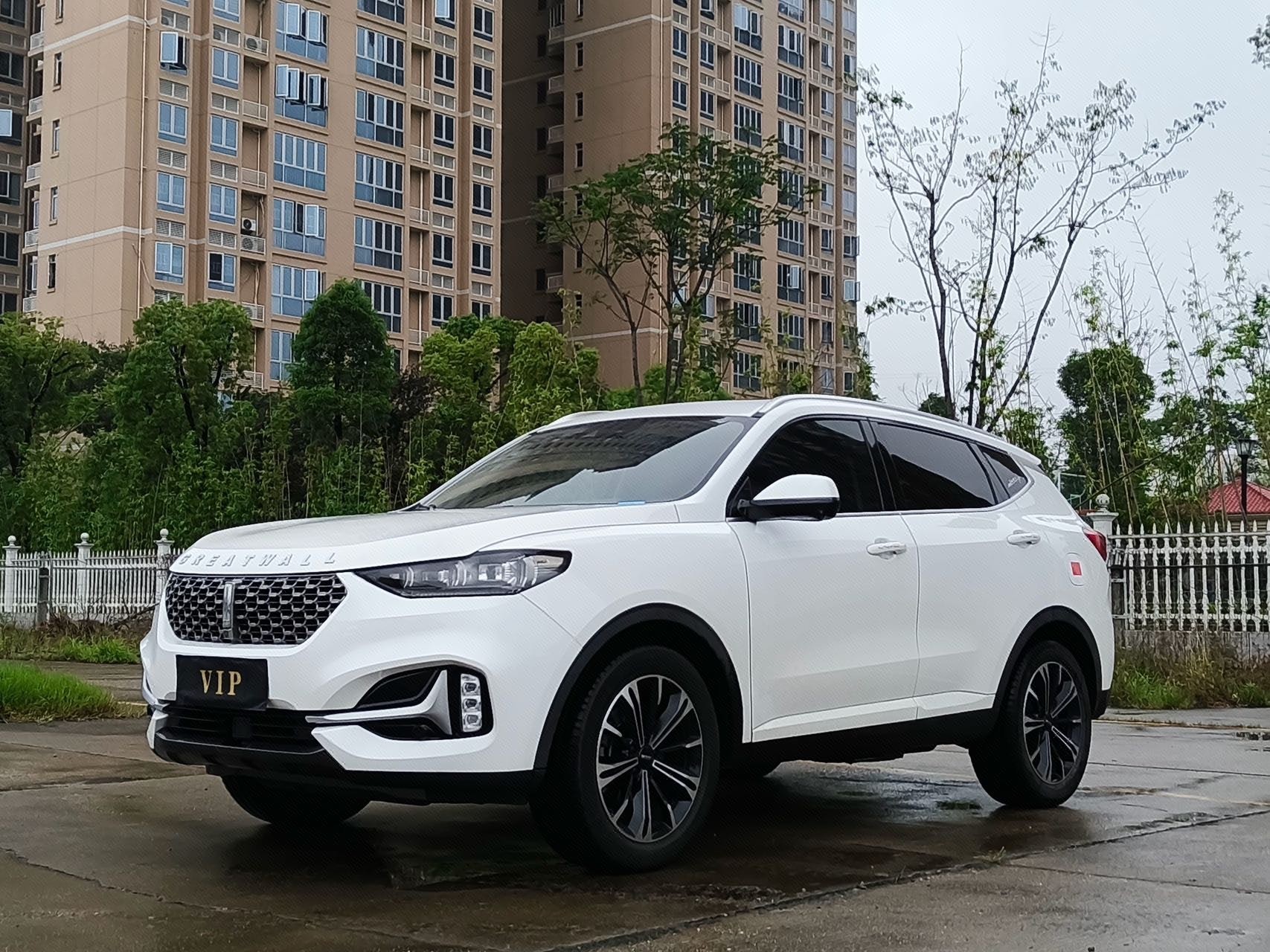 WEY 2021 VV6 2.0T FWD Intelligent Protection+