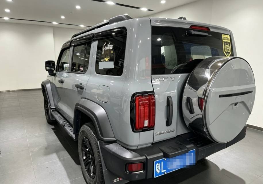 TANK Tank 300 2.0T Off-Road Edition Conqueror fotoğraf 5