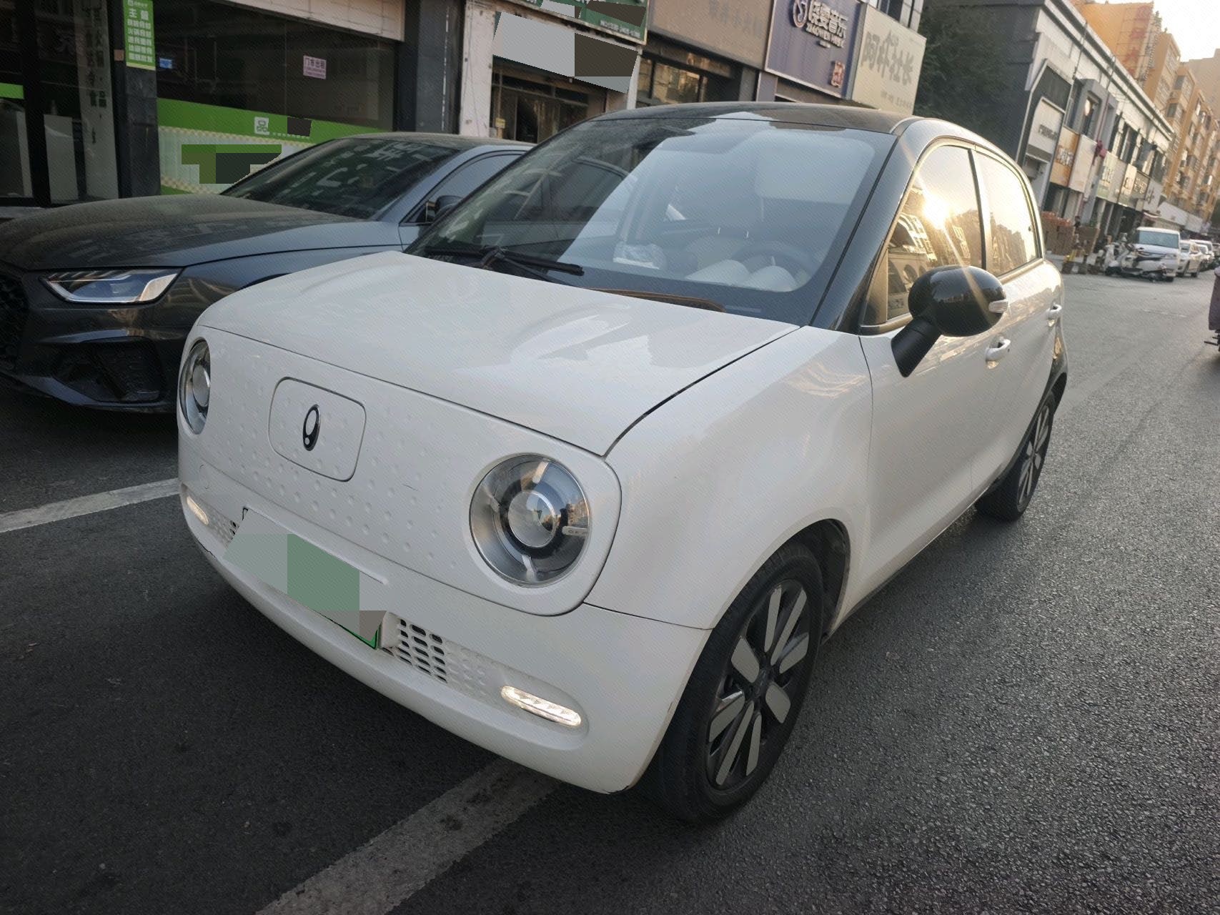 ORA 2019 R1 (Black Cat) 351km Goddess Edition