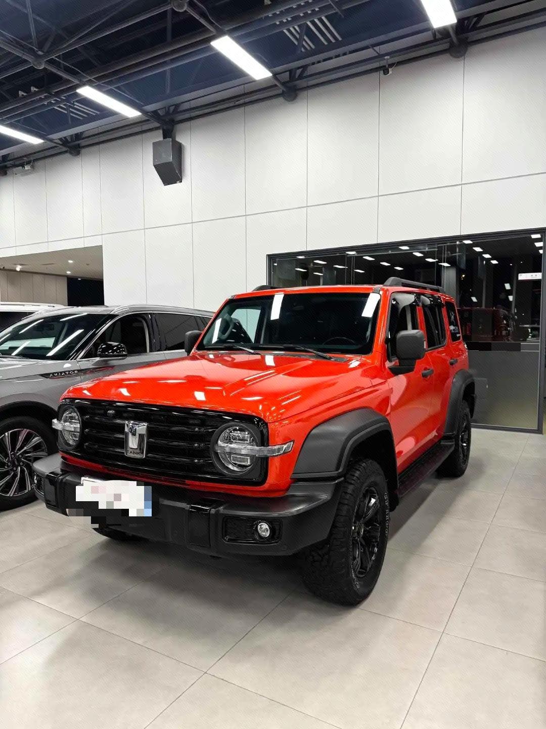 TANK 2021 Tank 300 2.0T Off-Road Edition Conqueror