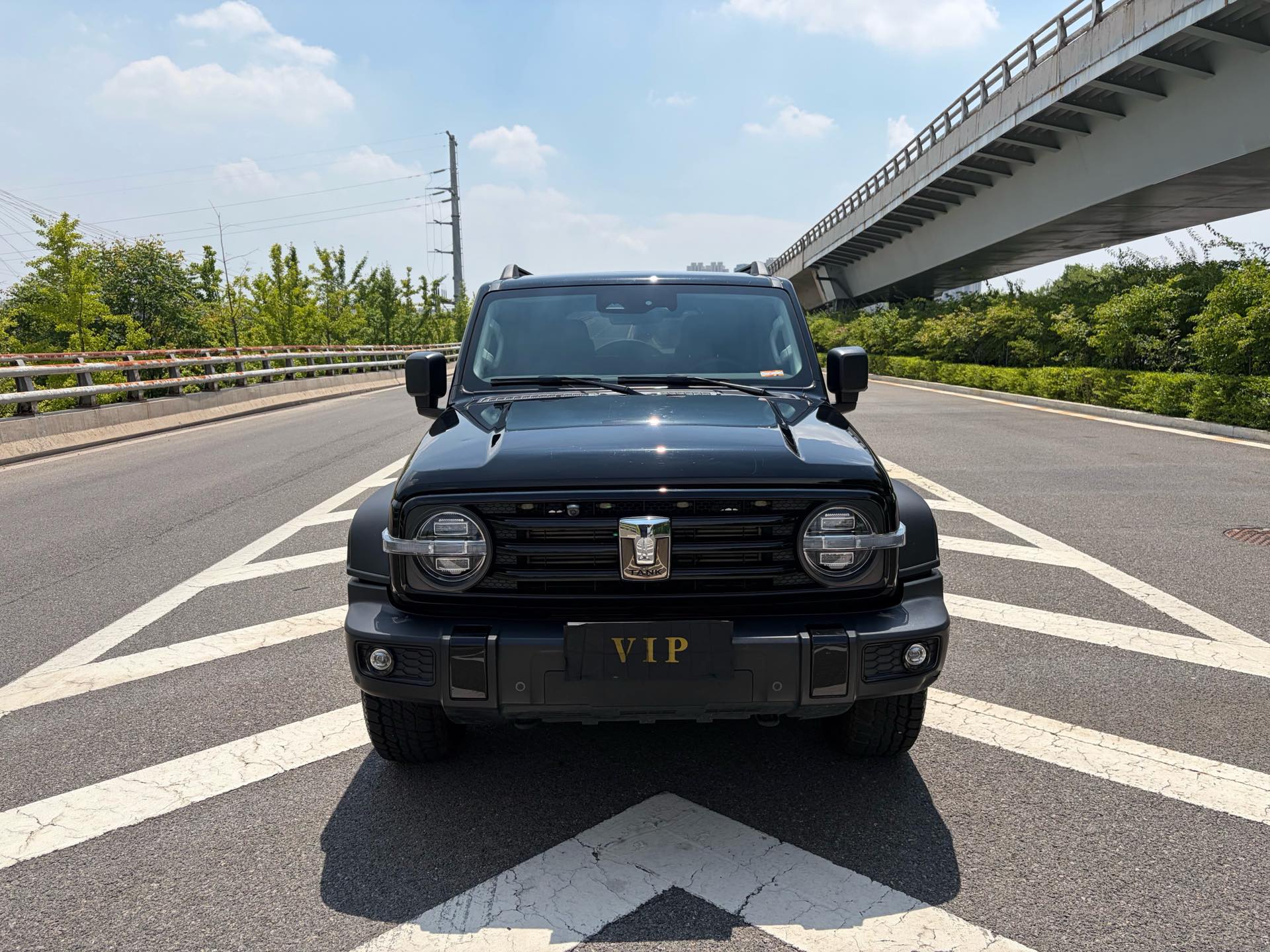 TANK 2021 Tank 300 2.0T Off-Road Edition Challenger photo 2