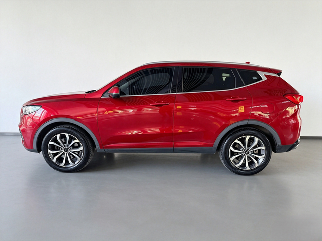 WEY 2020 VV6 2.0T Two-Wheel-Drive Zhixiang+ photo 3