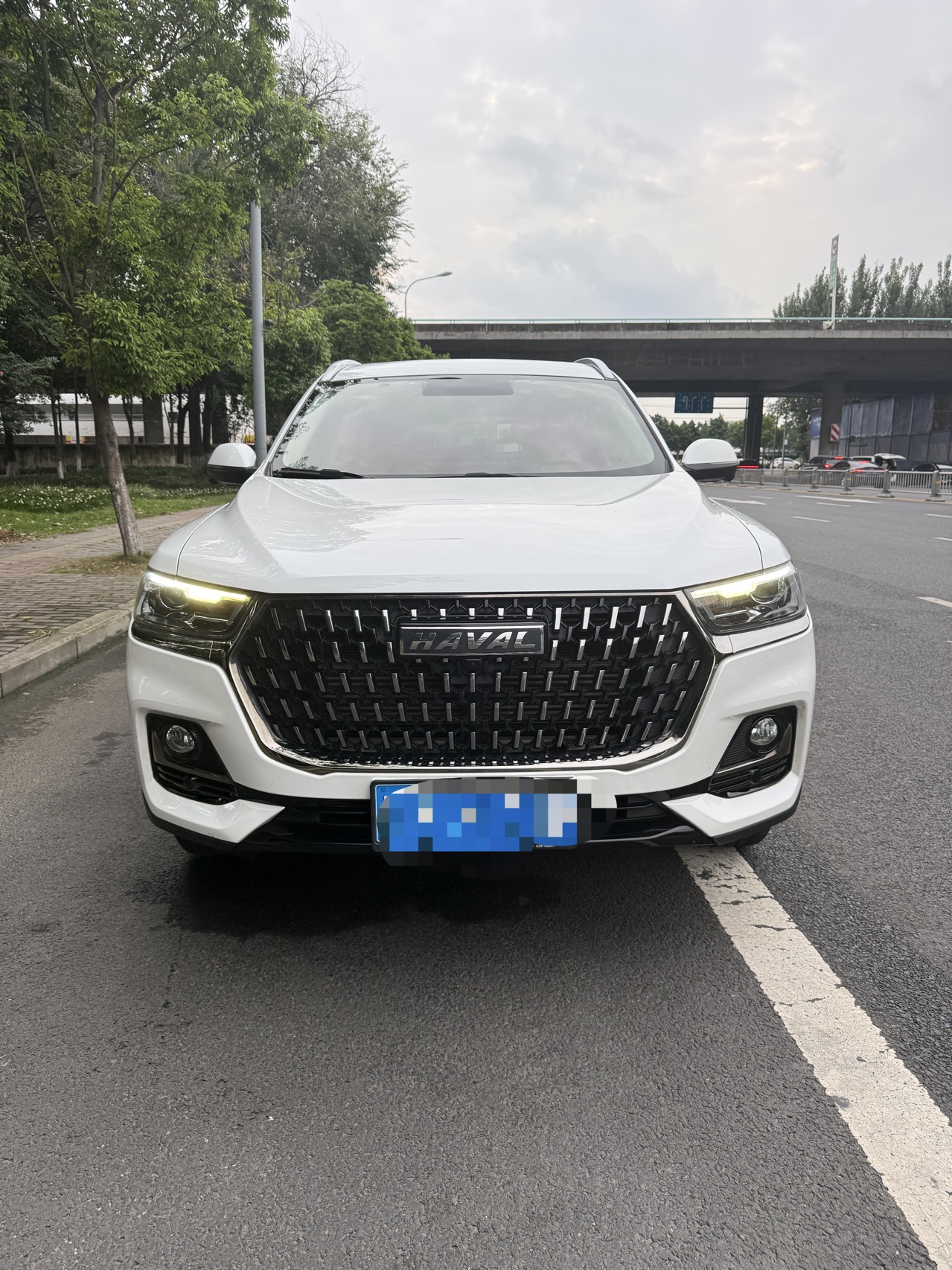 Haval 2021 H6 1.5GDIT Champion Edition photo 2