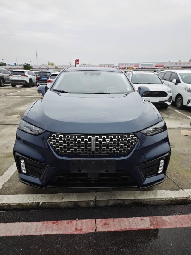 Фото WEY 2020 VV7 2.0T Flagship Model — 2