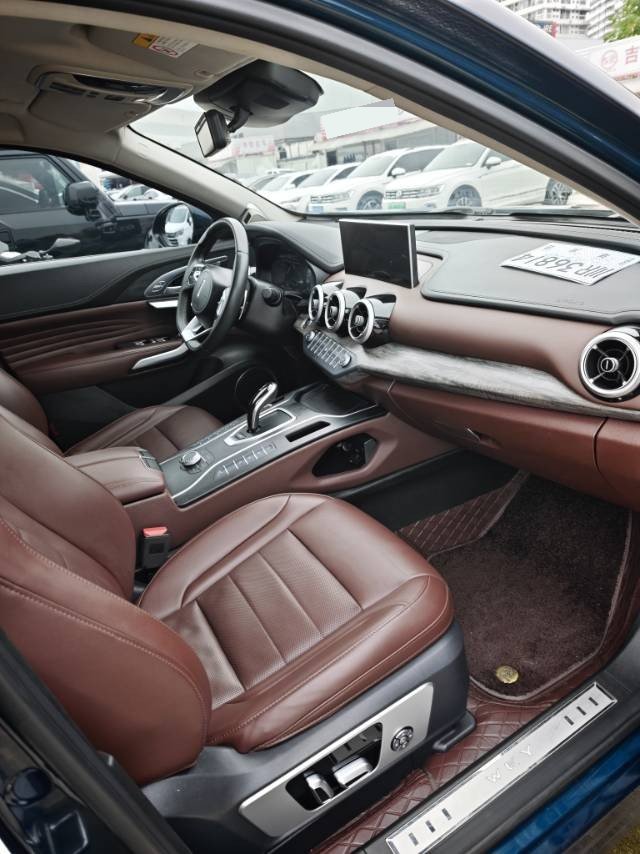 Фото WEY 2020 VV7 2.0T Flagship Model — 4