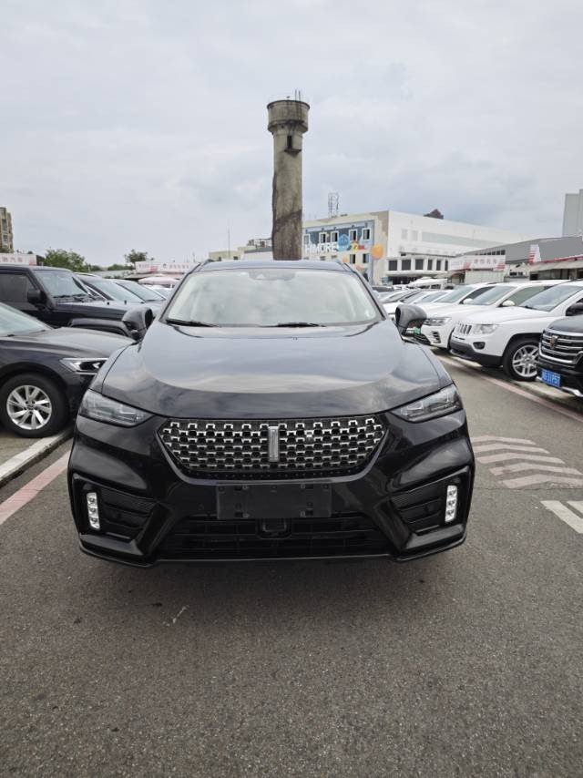 Foto WEY 2020 VV7 2.0T Flagship Model 2