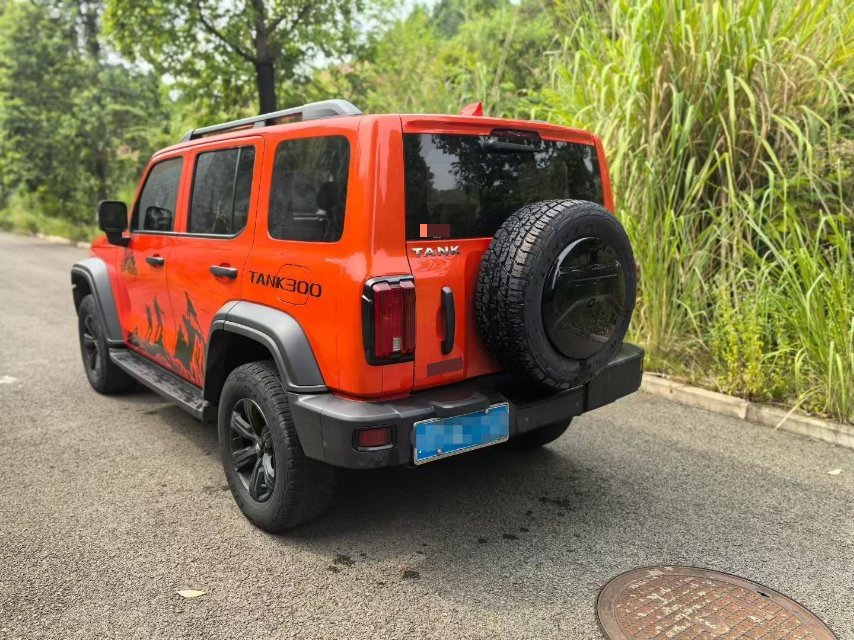 TANK Tank 300 2.0T Off-Road Edition Conqueror photo 3