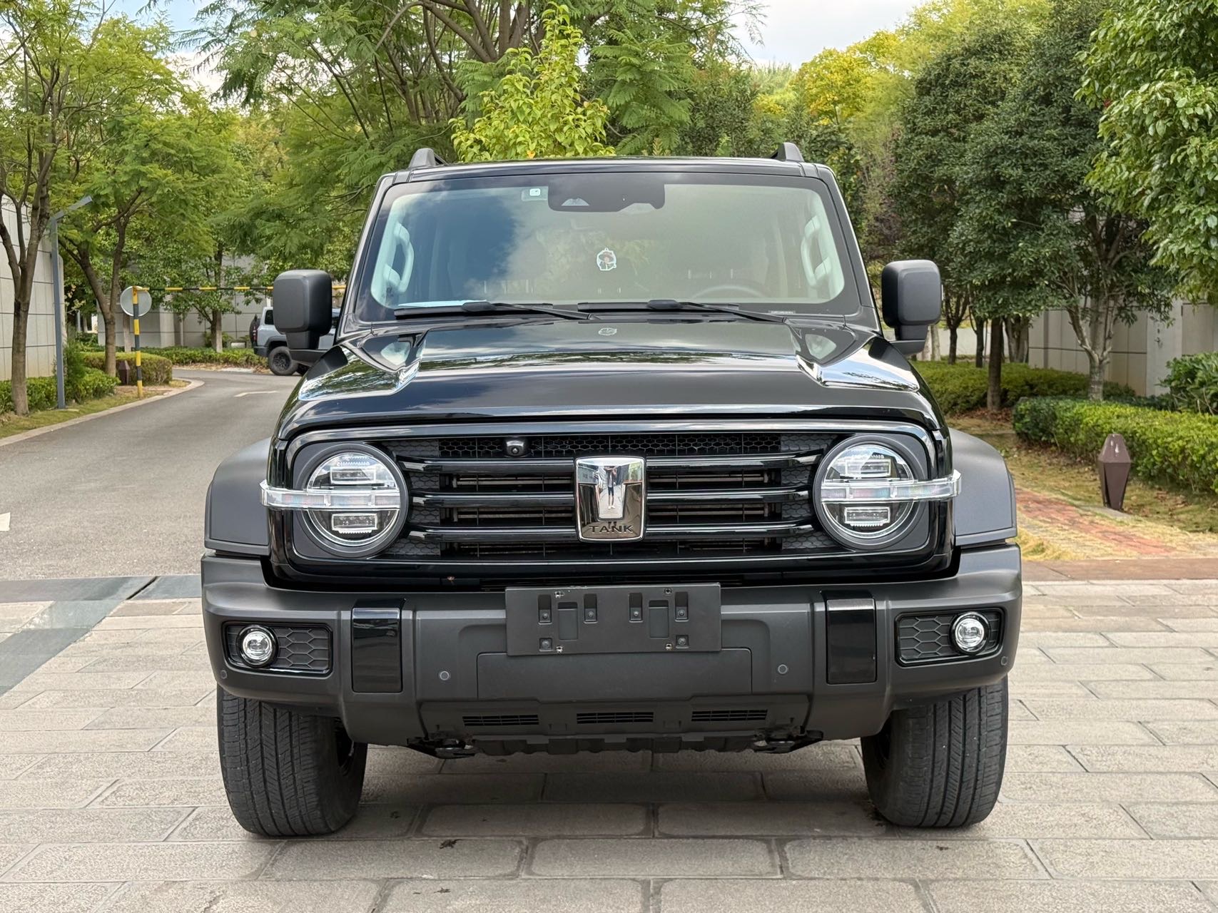 TANK 2023 Tank 300 2.0T Off-Road Edition: The Conqueror photo 2