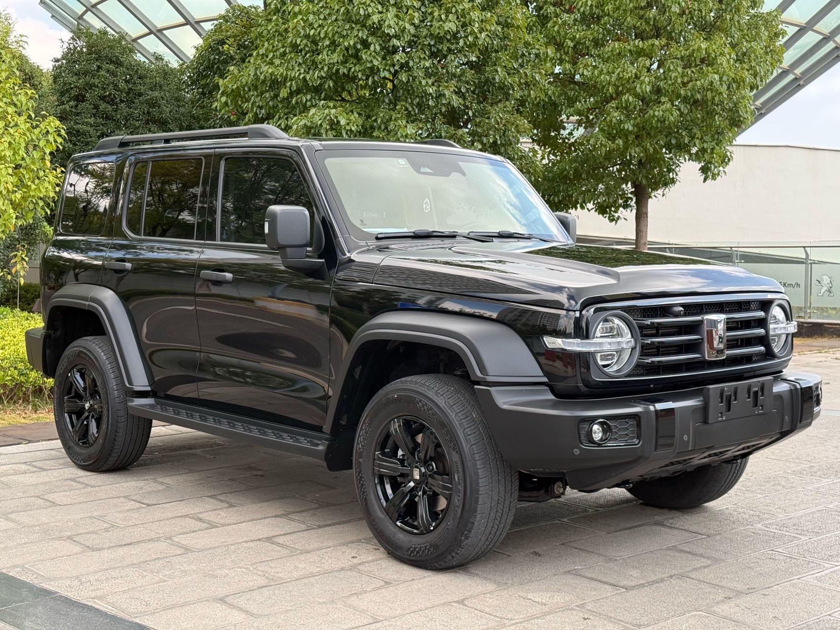 TANK 2023 Tank 300 2.0T Off-Road Edition: The Conqueror photo 3
