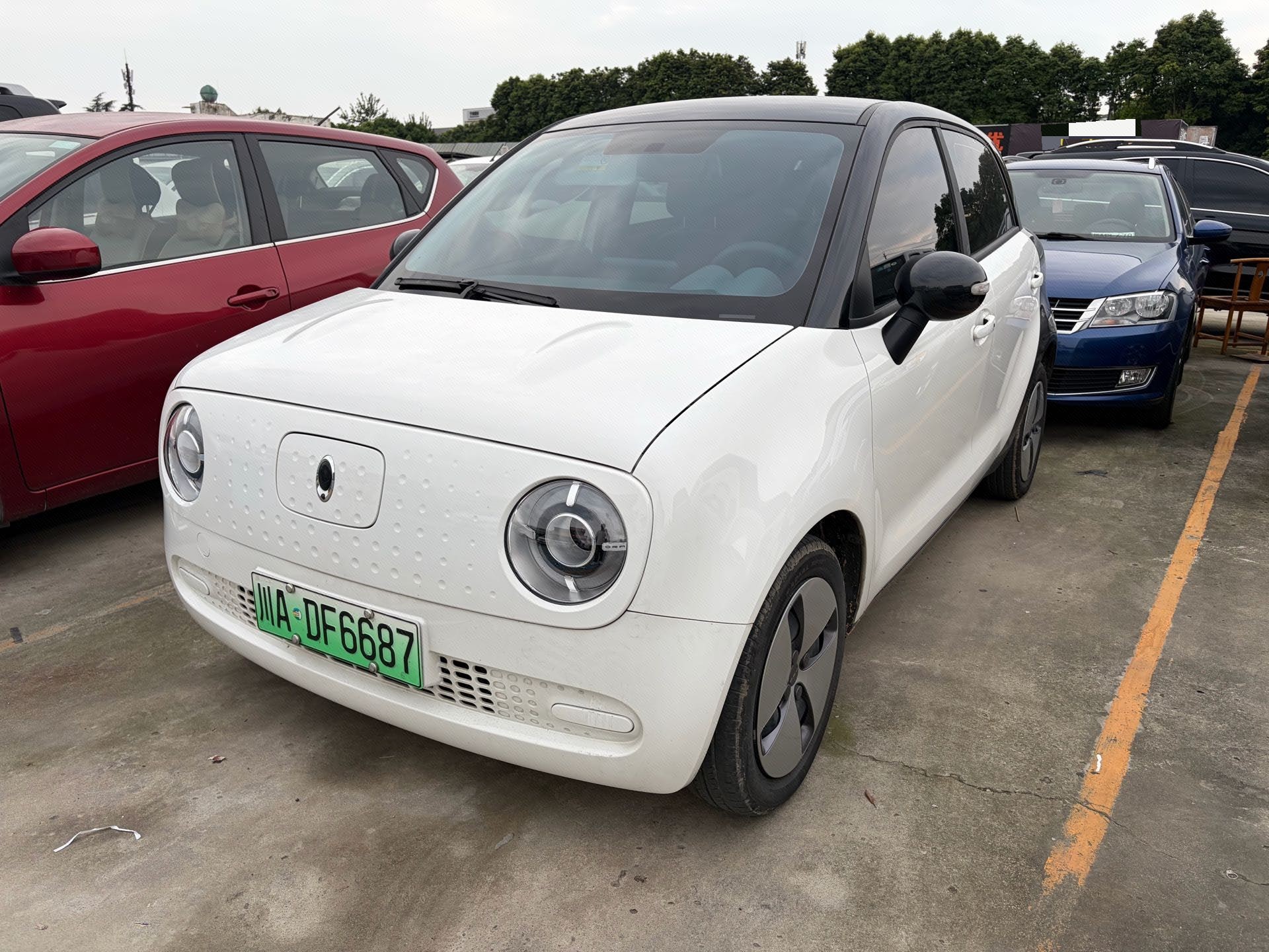 ORA 2019 R1 (Black Cat) 301km Standard Version