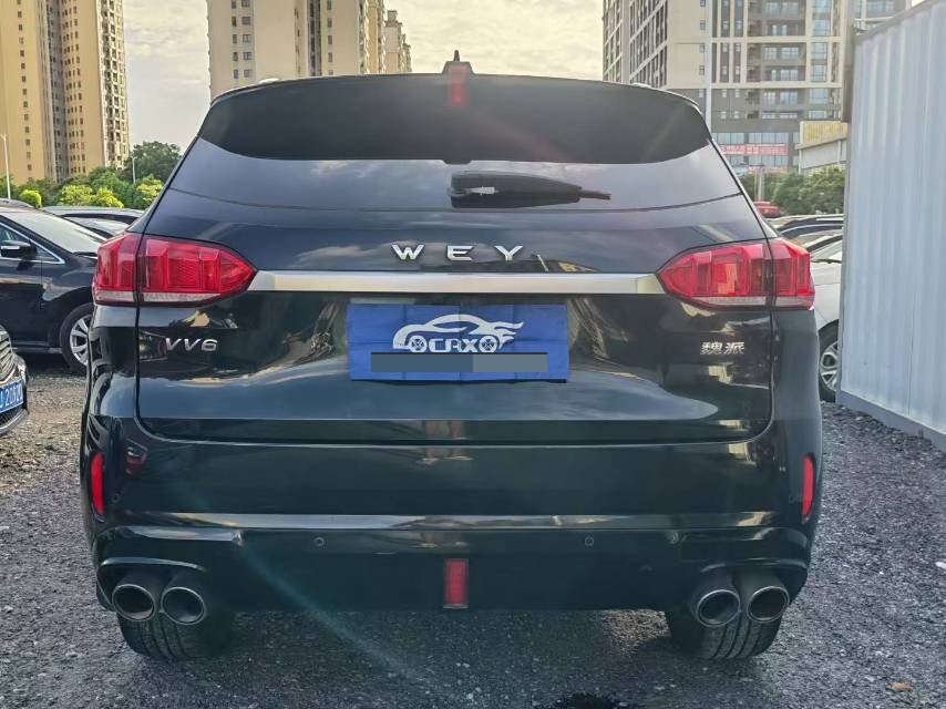 WEY 2019 VV6 2.0T Two-Wheel-Drive Ultra-Luxury Model photo 5