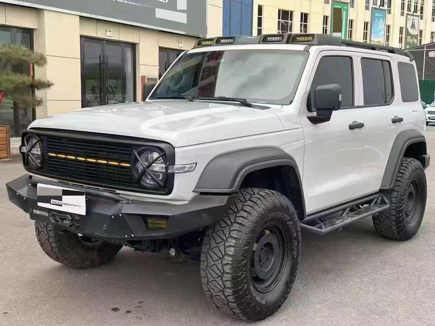 TANK 2021 Tank 300 2.0T Off-Road Edition Conqueror