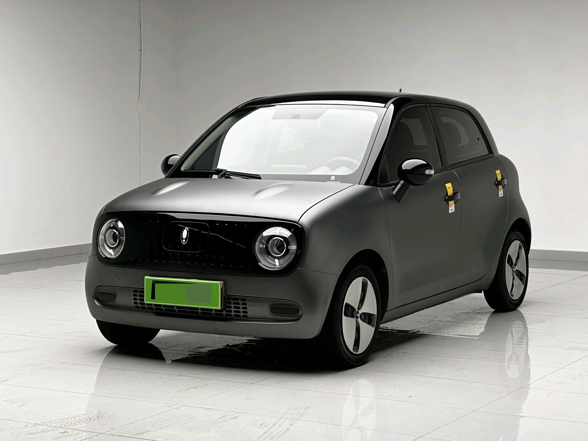 ORA 2022 R1 (Black Cat) 301km Cute Pet Edition