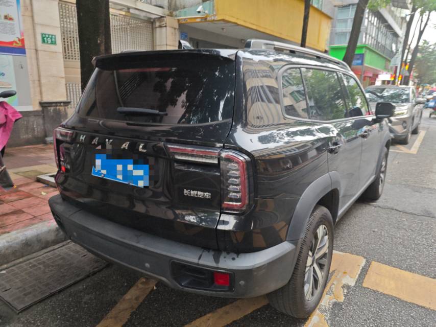 Haval Dargo 2020 Big Dog 1.5T Labrador Edition photo 2
