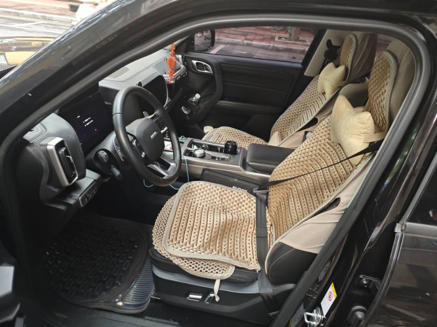 Haval Dargo 2020 Big Dog 1.5T Labrador Edition photo 3