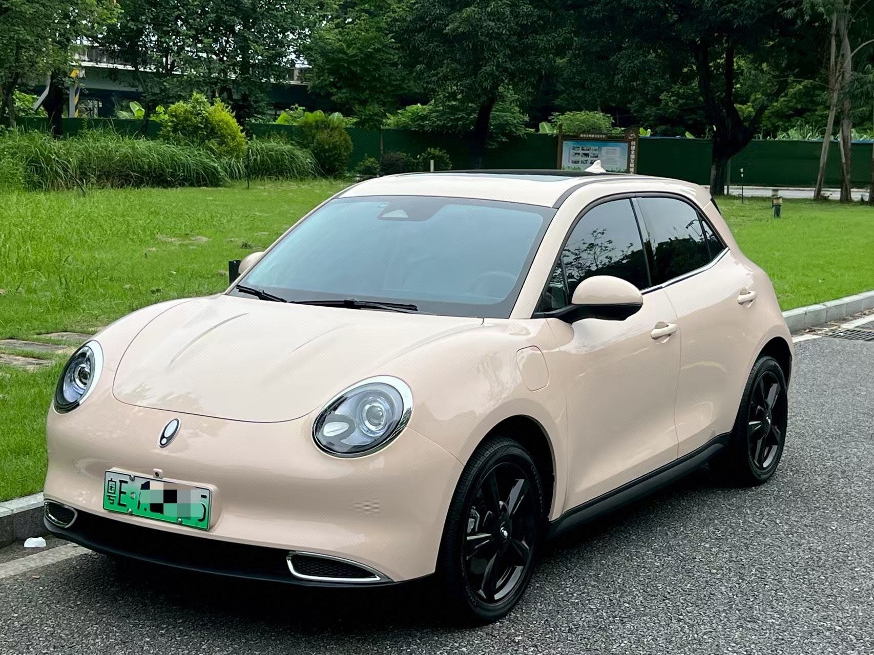ORA 2024 Good Cat 401km Luxury Model