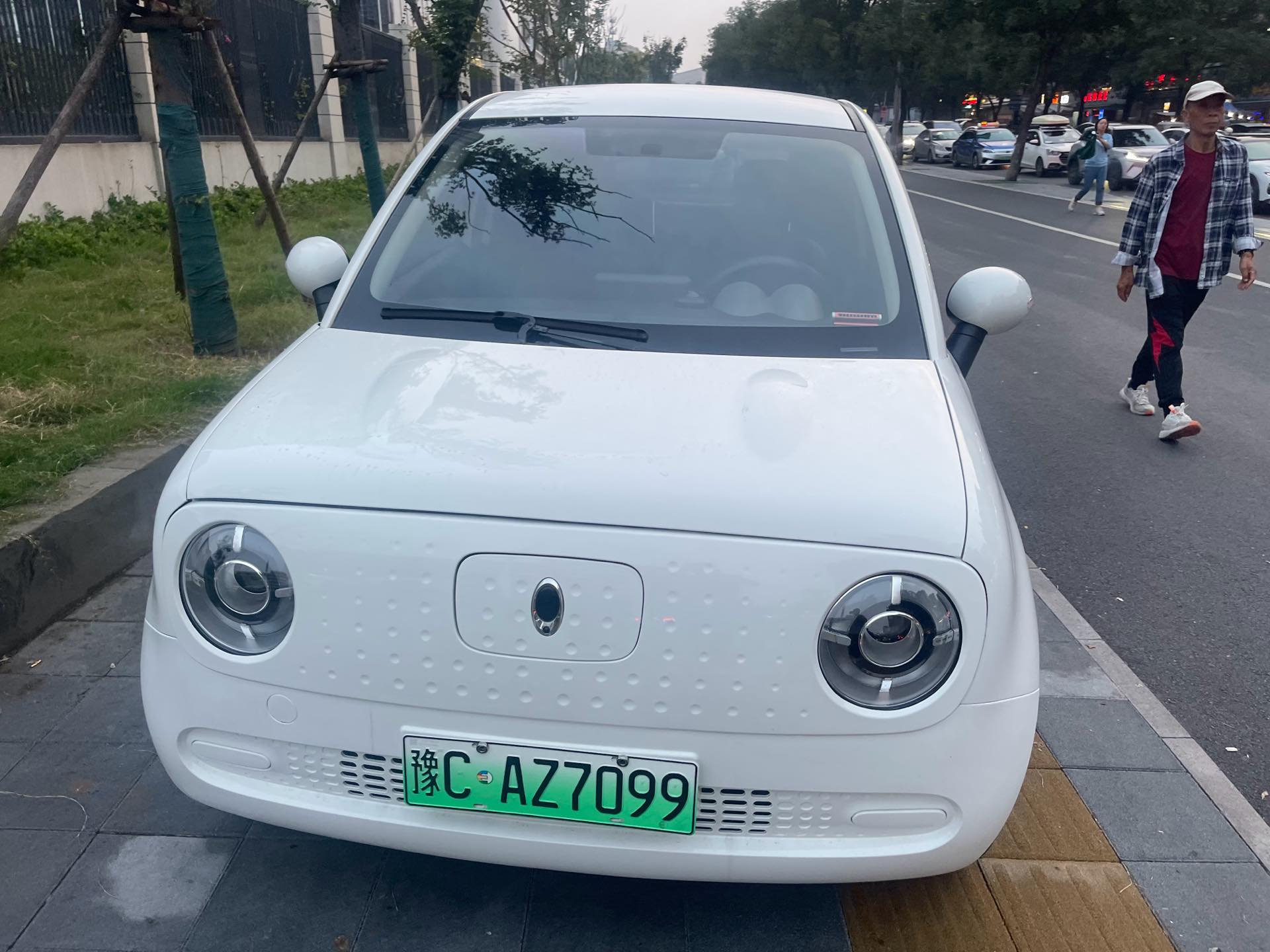 ORA 2019 R1 (Black Cat) 310km Dynamic Version photo 2