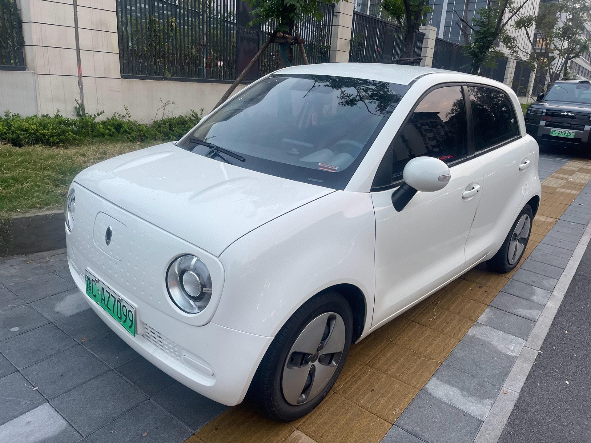 ORA 2019 R1 (Black Cat) 310km Dynamic Version
